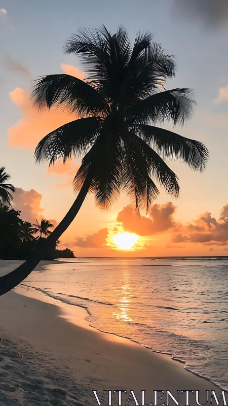 Palm shoreline silhouette against level tropical sunset sky.
