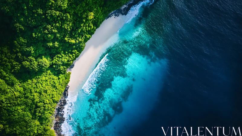 Tropical Paradise: Where Emerald Forest Meets Turquoise Waves.