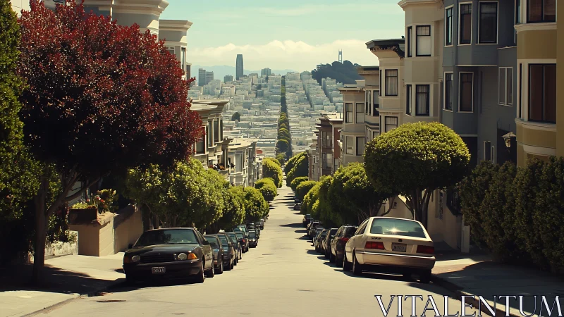 Hilly city corridor tumbles toward a sunlit urban horizon