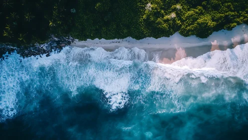Tropical surf scribbles foamy script along emerald shores
