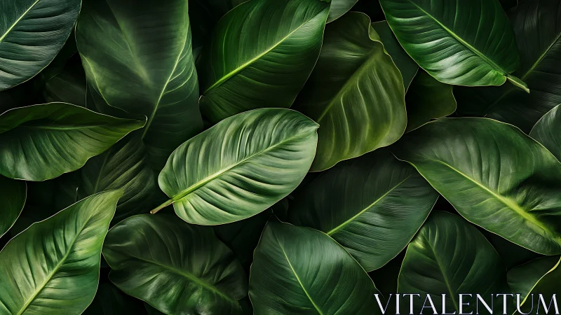 Photorealistic tropical foliage with layered glossy leaves.