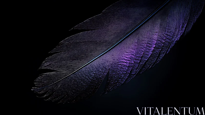 Macro study isolates iridescent feather barbs under low key light