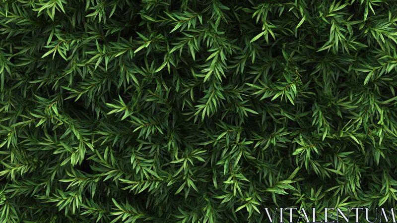 Dense coniferous foliage matrix with layered directional fractals.