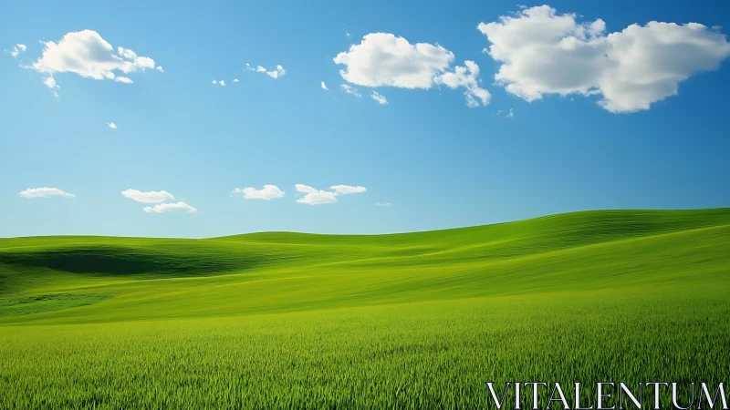 Grassy rolling hills under sparse cumulus clouds at midday.