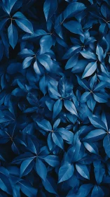 Midnight sapphire foliage weaving a velvety forest hush.