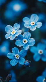 Forget-Me-Nots Shimmer Across Dark Depths