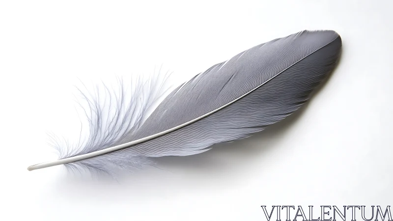 Silvery quill rests in luminous air, whispering quiet skies.