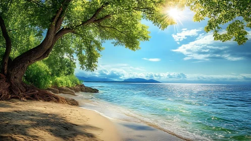 Tropical Beach with Ancient Tree and Mountain Vista.
