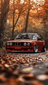 Lowered classic red sedan on forest road with shallow depth-of-field