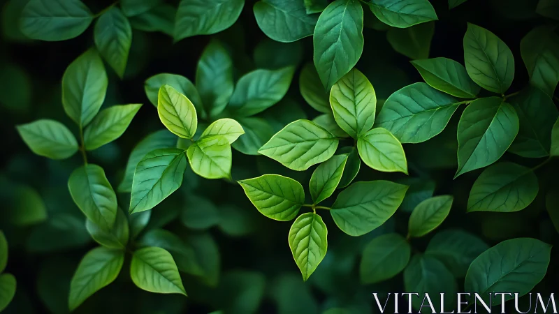 Luminous green foliage pattern in shallow depth-of-field study.