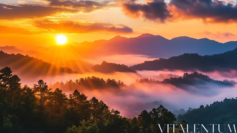 Sunrise over misty forested mountains with warm light rays.
