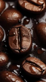 Coffee beans sit in liquid with visible surface reflections