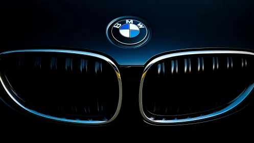 Midnight chrome grille framing a luxury badge in shadowed glow.