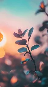 Leafy branch glows against teal and coral sunset sky.