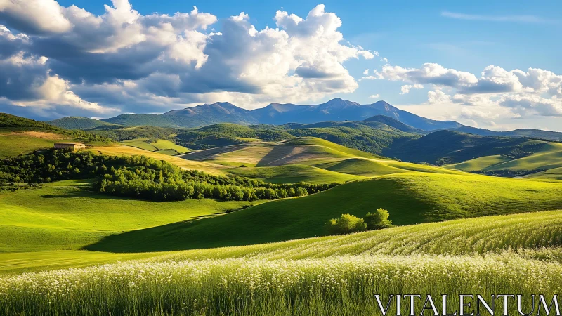 Sunlit rolling hills stretch toward distant blue mountains