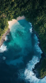 Emerald Embrace: Where Jungle Devours Paradise.