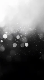 Starglow Drift in Monochrome Misty Silence.