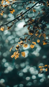 Amber leaves drift above teal forest bokeh dreamscape.