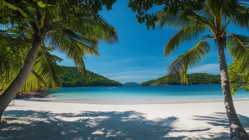 Tropical Cove with White Sand Beach and Palm Trees
