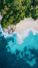 Jungle Whispers Meet Turquoise Fury in Aerial Symphony