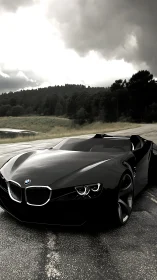 Sleek black roadster resting beneath stormy forest skies.