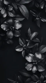 Dramatic Black and White Flowers in Moody Light.