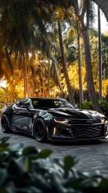 Glossy black performance coupe under warm directional sunset light