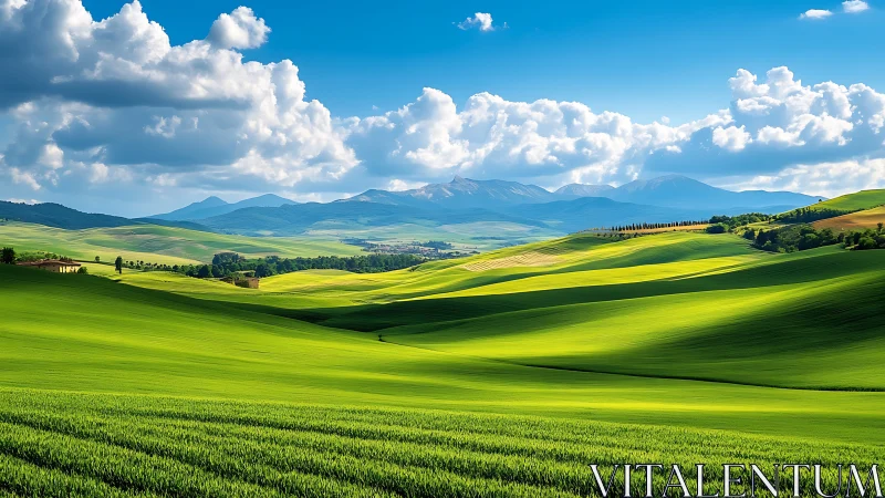Sunlit agrarian hills with distant mountain range and cumulus sky