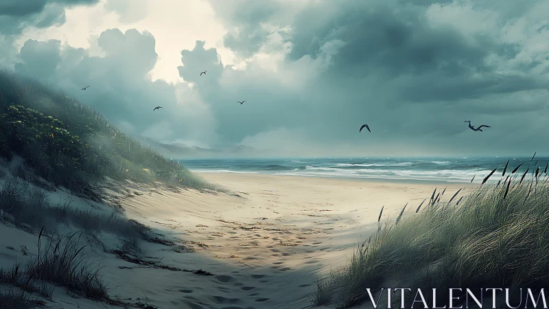 Storm-lit coastal sand dunes with overcast sky and seabirds