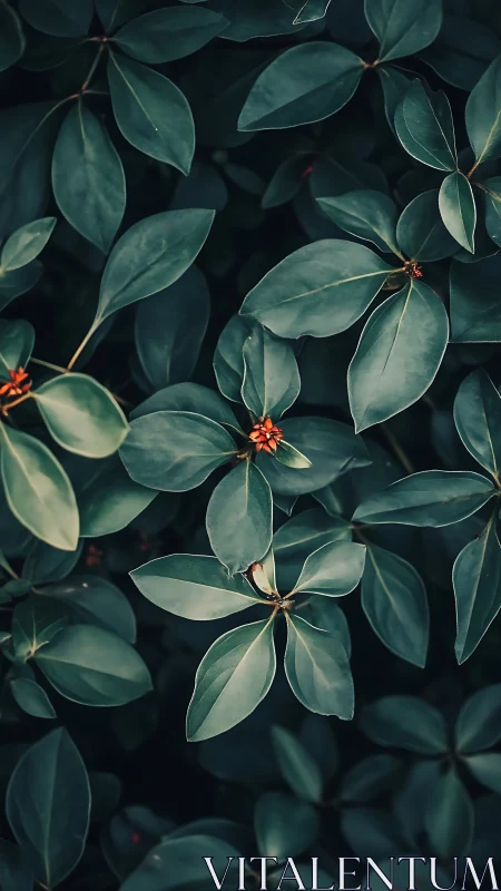 Botanical leaf matrix with isolated orange inflorescences.