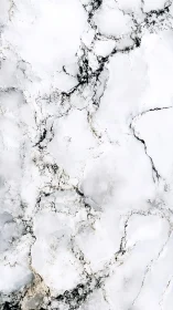 Marble storm whispers across a frozen porcelain sky.