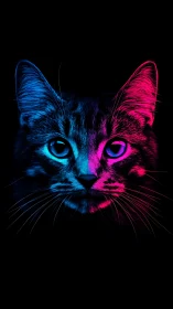 Neon Cat with Blue and Pink Glowing Eyes.