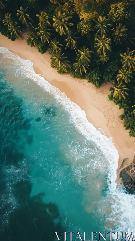 Aerial Drone Capture of Tropical Coastline with Turquoise Waters and Palms