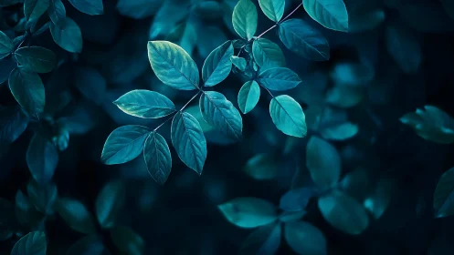 Teal forest leaves glow under deep cinematic blue light.