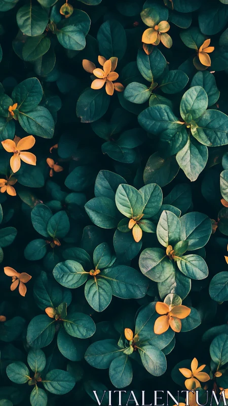 Emerald foliage with scattered golden flowers overhead view