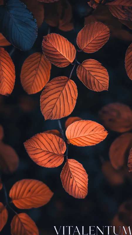 Autumn leaves glowing softly against a deep blue dusk backdrop.
