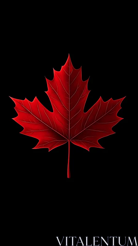 Red maple leaf silhouette on black background wall art.