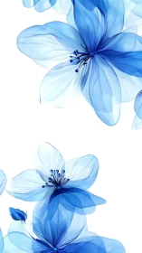 Translucent Blue Floral Composition with Layered Petals.