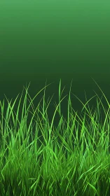 Soft green meadow of tall grass against calm gradient sky.