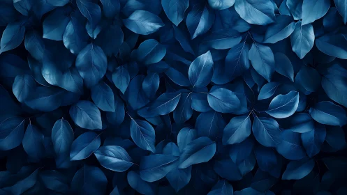 Midnight blue leaves weaving a calm botanical dream.