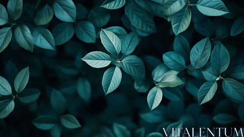 Dense cluster of teal-toned leaves in soft overhead light.