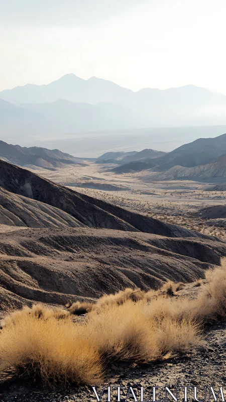 Sunlit desert ridges breathe softly beneath hazy blue mountains