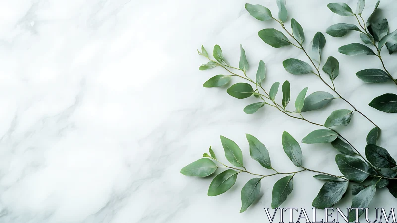 Eucalyptus whispers across cool white marble calmness.