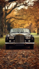 Vintage black convertible is parked on a leaf-covered path