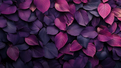 Purple foliage surface shows layered gradient leaf textures.