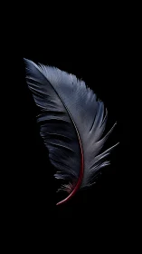 Iridescent feather macro study on deep black background.