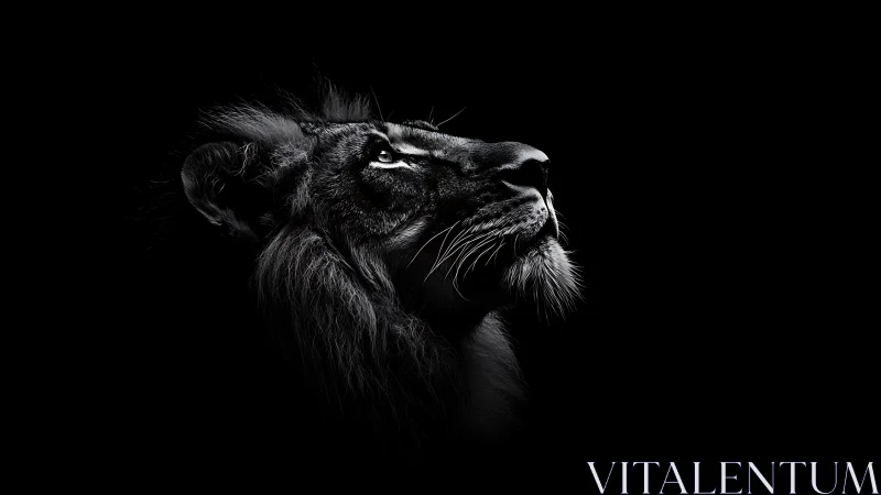 Midnight lion gazes skyward in carved silver light.