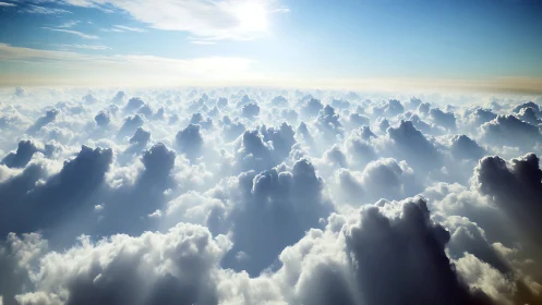 Sunlit cloudscape with dense cumulus layer viewed above.