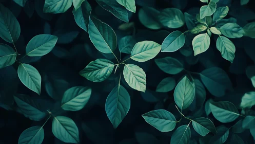 Low-key botanical leaf study with cool-toned foliage pattern.