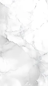 White marble surface with subtle grey veining pattern.